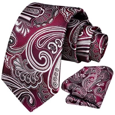 HISDERN Extra Long Ties for Men Classic XL, 63 inches length C14-burgundy