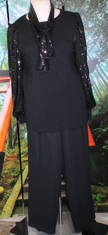 CASUAL/COCKTAIL SEQUIN TOP W/  PANTS 2X