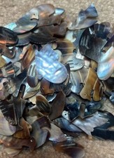 Mother Of Pearl Pieces For crafts/Inlay - 50 Grams