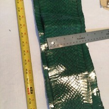 Genuine Snake Skin, green Skin, Real snake. COMMON GARTER SNAKE