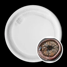 SNAKE Tray Silicone Mold AU