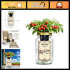 Indoor Hydroponic Cherry Tomato Grow Kit Mason Jar Planter for Windowsill