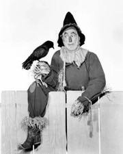 The Wizard Of Oz Ray Bolger Holding Crow As The Scarecrow 8x10 Picture Celebrity