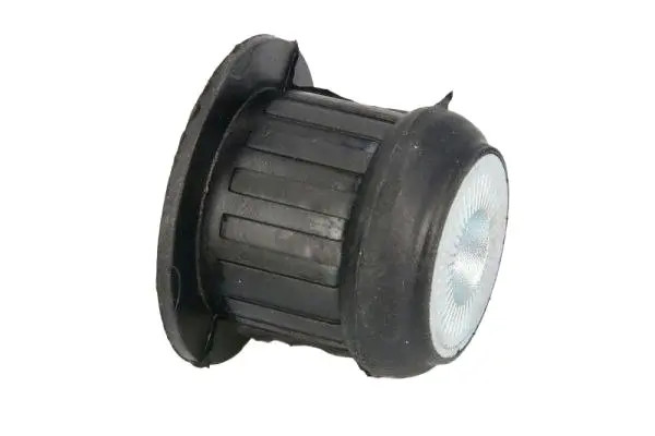 REINHOCH RH19-0002 Supporto, Sospensione motore anteriore - Immagine 3