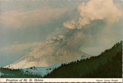 Mt. St. Helens Washington Volcano Eruption Continental Postcard B554