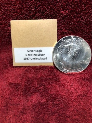 1987 American Silver Eagle ~ 1 Troy Oz .999 Fine Silver ~ FREE SHIPPING  My #279