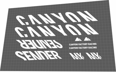 CANYON Sender (2017-2019) CF Frame 
