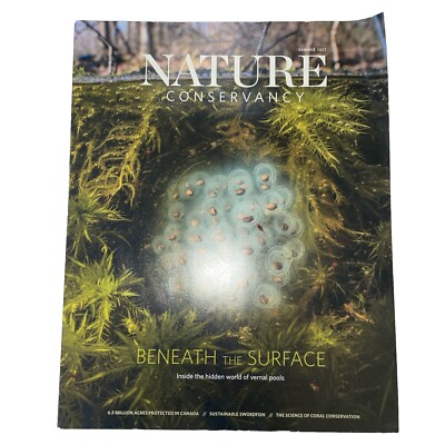 Nature Conservancy Beneath the Surface Sea Turtles Summer 2021