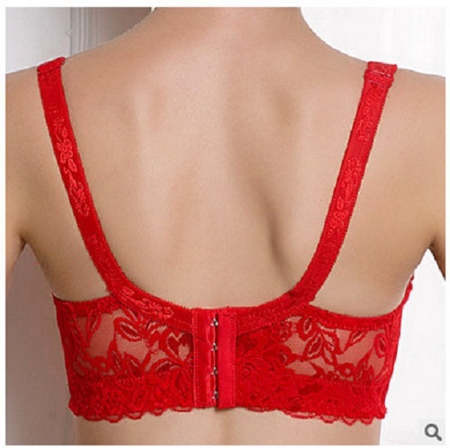 ブラジャー GLOWNY ROSY PICOT BRA 5BFM160 T-Shirt Bras for Women | Bra Collections | Felina