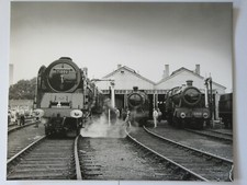 Steam Locomotive 71000 - 5900 - 3822 10" x 8" Original Railway Photo CRJ A050