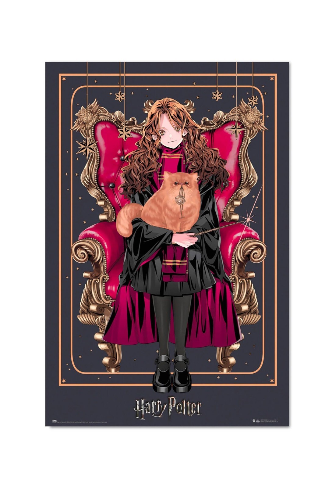 Artístico Harry Potter Póster 61x91.5 CM 61x91.4cm Mago Dynasty Hermione