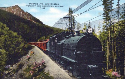 Cascade Mountains Washington Verdant and Beautiful Always Postcard
