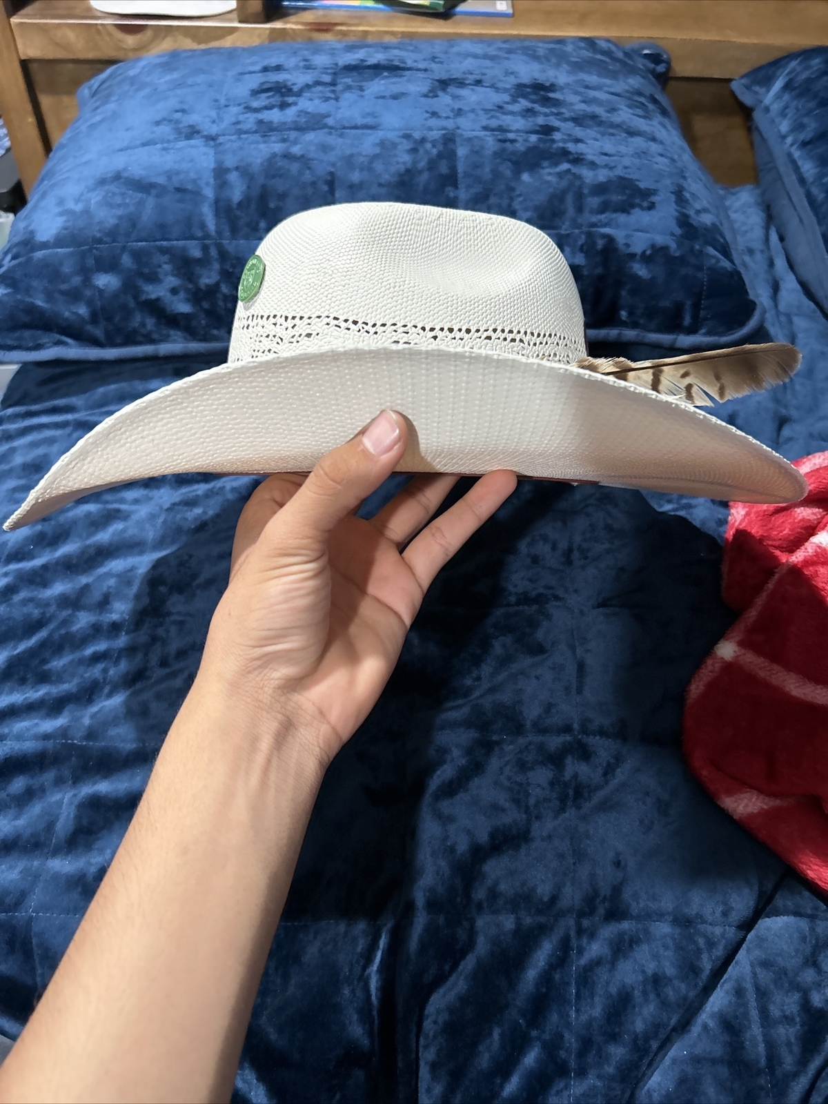 Resistol Bangora Straw Cowboy Hat Young Gun Gem