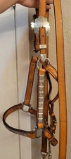 Stunning Tory Silver Show Halter & Lead - Horse Sz. - Light Oil