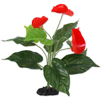Repti Planet Plant Anthurium 40cm Vivarium Terrarium Aquarium Ornament |  eBay UK