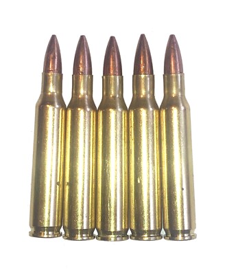 222 Remington Magnum Snap Caps Training Rounds Aids + Rattling & Black Options!