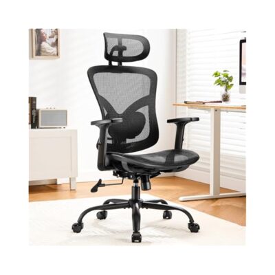 Adjustable Lumbar Support Chair, Ergonomic Design for Back Pain Relief