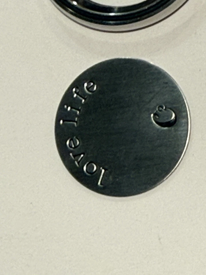 Origami Owl MEDALLÓN GRANDE PLATEADO TORCIDO CARA SOLO CRISTALES ROJOS SIAM Y 5 DIJES Foto 4 de 4