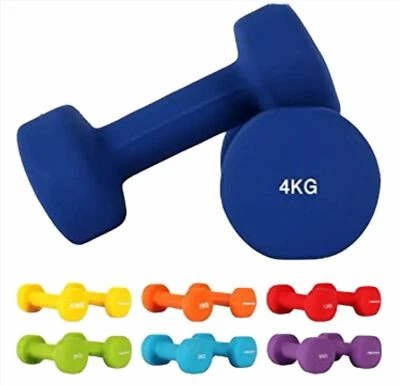effea PESI PALESTRA Pèsetti pour Haltères 2 3 4 KG Vinyle Fitness - Photo 1/3