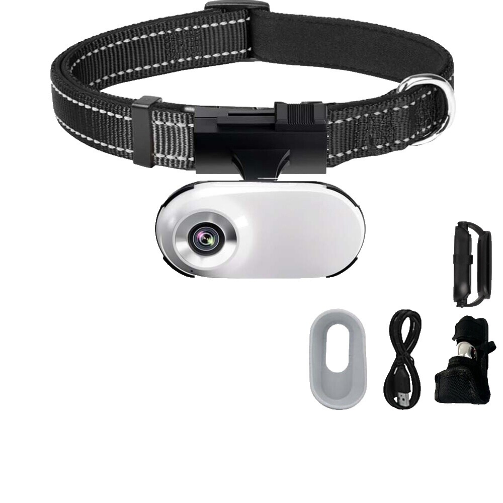 Pet Camera Collar