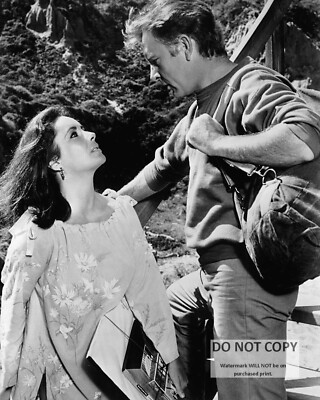 RICHARD BURTON & ELIZABETH TAYLOR ''THE SANDPIPER''  8X10 PUBLICITY PHOTO (BB-501)