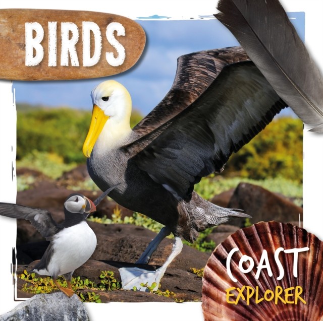 Birds by Robin Twiddy (Hardback Book)