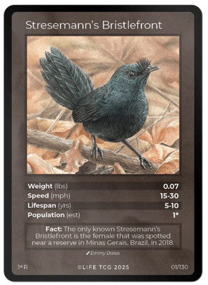 Life TCG Birds Edition 1 - Stresemann' Brtstlefront - 1/130 Rare