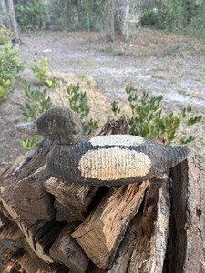 Animal Trap Bluebill Hollow wood duck decoy very rare hollow body antique 