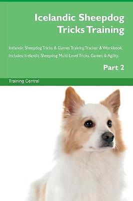 Icelandic Sheepdog Tricks Training Icelandic Sheep
