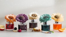 scentsy fragrance flowers