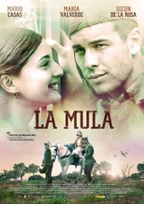 PELICULA ESPAÑOLA, LA MULA , 1 DVD , 2010
