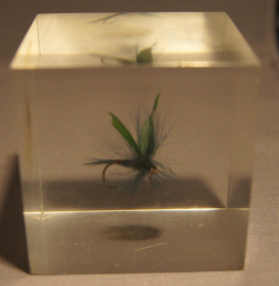 FLY ENCLOSED IN AN ACRYLIC BLOCK | eBay