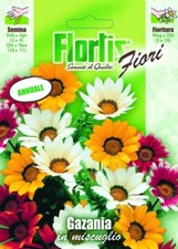 Flortis Graines De Gazania Mix