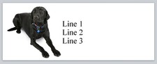 Personalized Address labels Black Labrador (p 890)