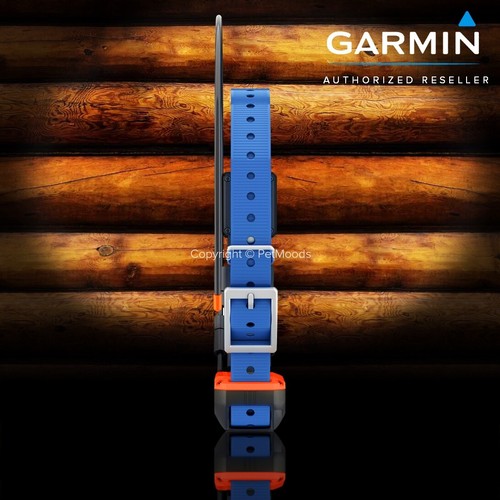 Garmin Alpha 300 GPS Handheld Bundle Alpha T20 Dog Tracking Collar - 第 15/24 張圖片