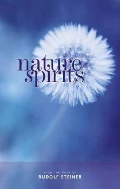 Nature Spirits by Rudolf Steiner 9781855845305 NEW Free UK Delivery - Image 7