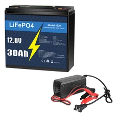 12V 30Ah LiFePO4 Lithium Battery with 5A Charger, Deep Cycle, for Fish Finder