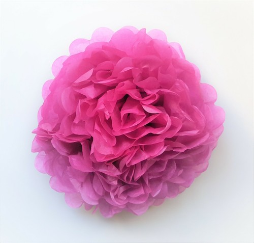 AU Stock Tissue Paper Pom Poms Fans Wedding Party Baby Lantern Home Room Decor - Picture 10 of 39