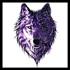 Violet Wolves