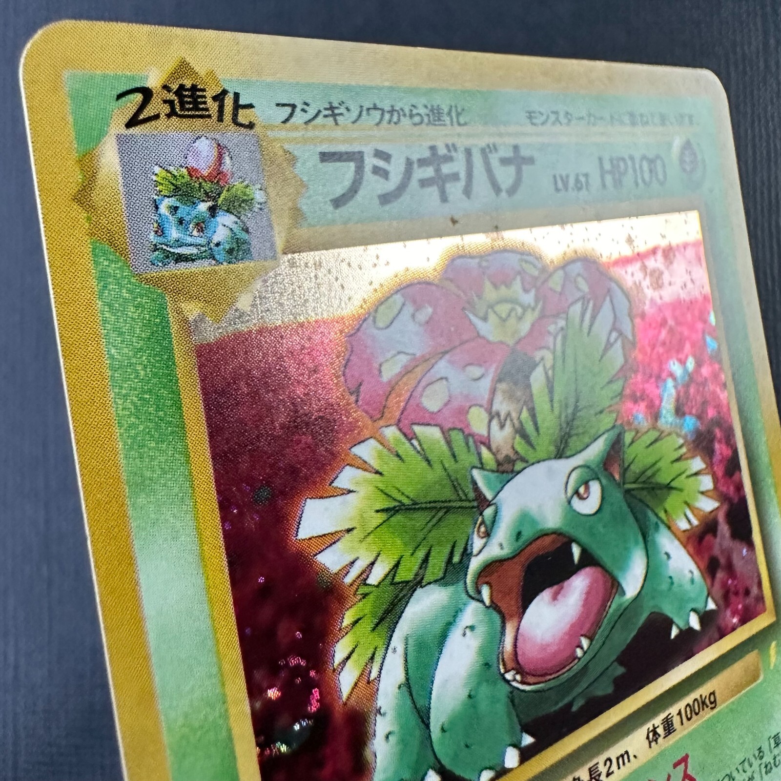 Japanese Holo Venusaur 1999 CD Promo No. 003 Pokemon Card WOTC eBay
