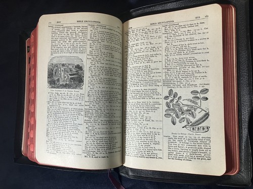 CHRISTIAN WORKER’S BIBLE Illustrated Thumb-Indexed w Encyclopedia 1993 SUPERIOR - Foto 18 di 21