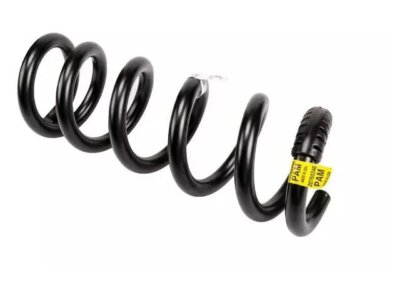 AC Delco Coil Spring fits GMC Savana 2500 2003-2024 RWD 19VNSH