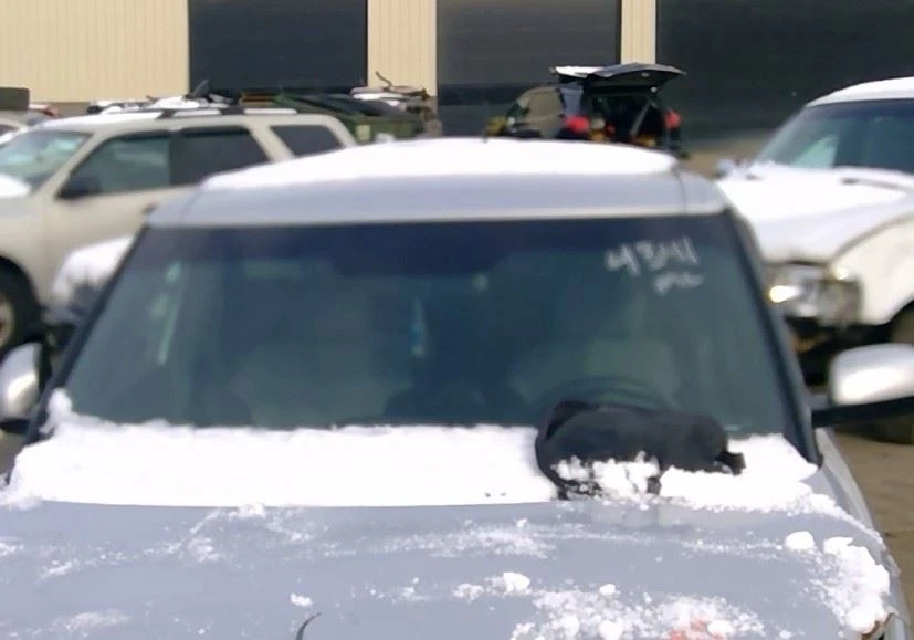 14 2015 16 17 18 19 Kia Soul Passenger Right RH Tail Light Incandescent Lamp Foto 4 de 4