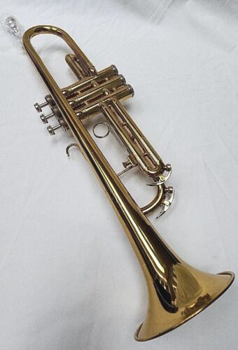 King Brass Student B Trompeta Plana Serie 600 NUEVO Estuche NUEVO Boquilla - Imagen 3 de 12