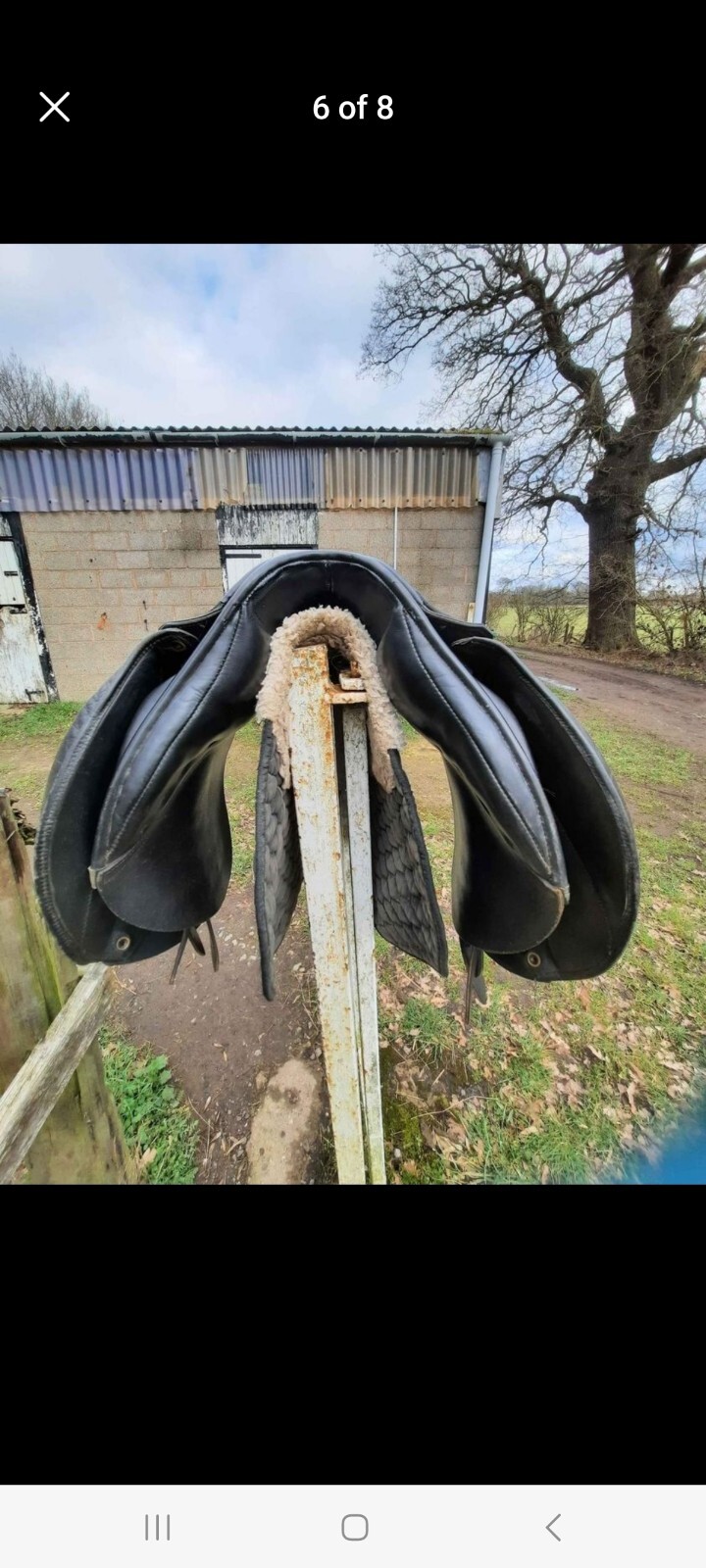 17" M/W Albion Selecta Saddle eBay