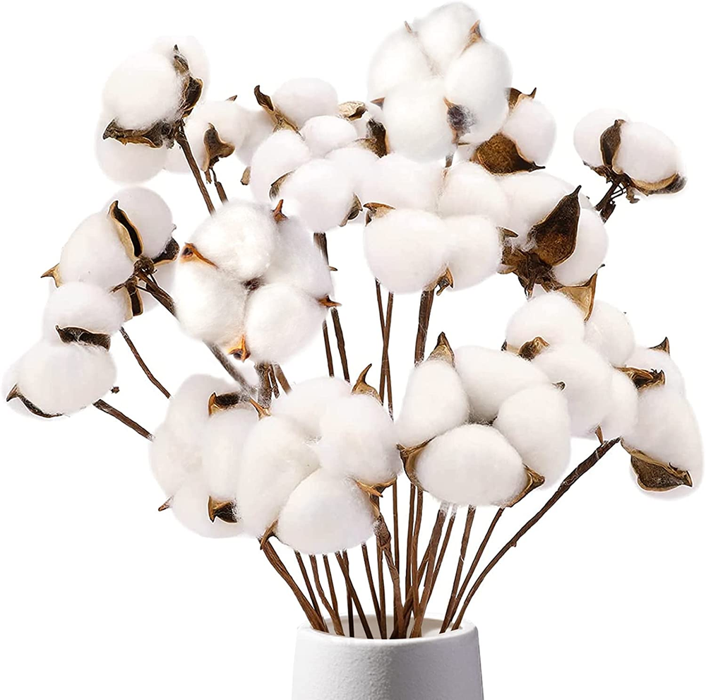 8 Natural Dried Cotton Stems with 15 Bolls for Decor