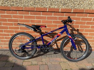 wiggins 20 inch bike