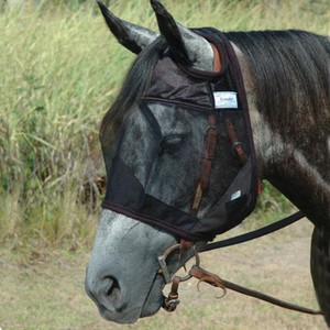 CASHEL-FLY-MASK-CRUSADER-DRAFT-QUIET-RIDE-STANDARD-RIDING-FOR-TRAIL-Horse-Tack