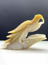 1pc Natural agate geode quartz carved eagle skull crystal Healing decor gift