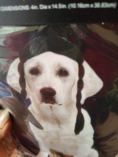 Dog Pet Braids Wig Costume halloween, Party M/L